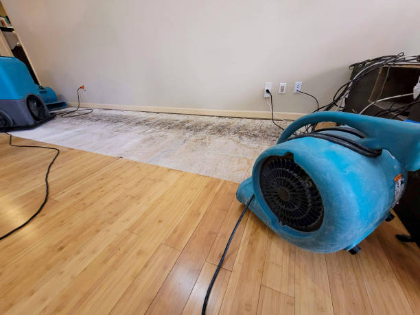 Professional Emergency Water Damage technician working in Windham, NY